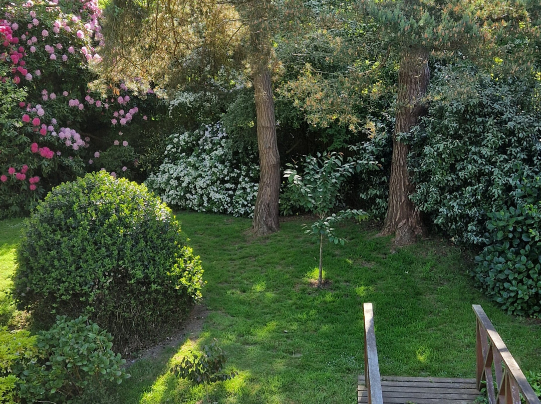 Stream House Luxury Bed & Breakfast主图