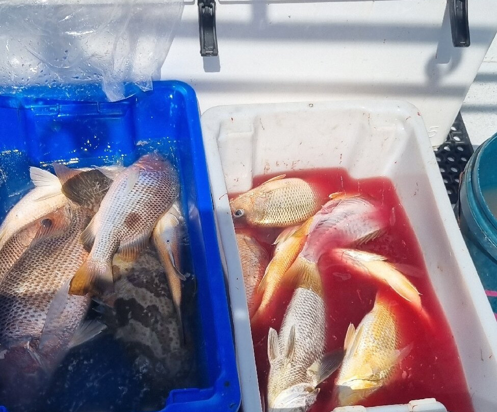 Equinox Fishing Charters-达尔文市必去景点