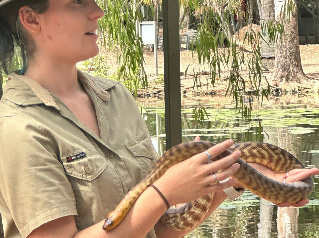 Billabong Sanctuary-汤斯维尔必去景点
