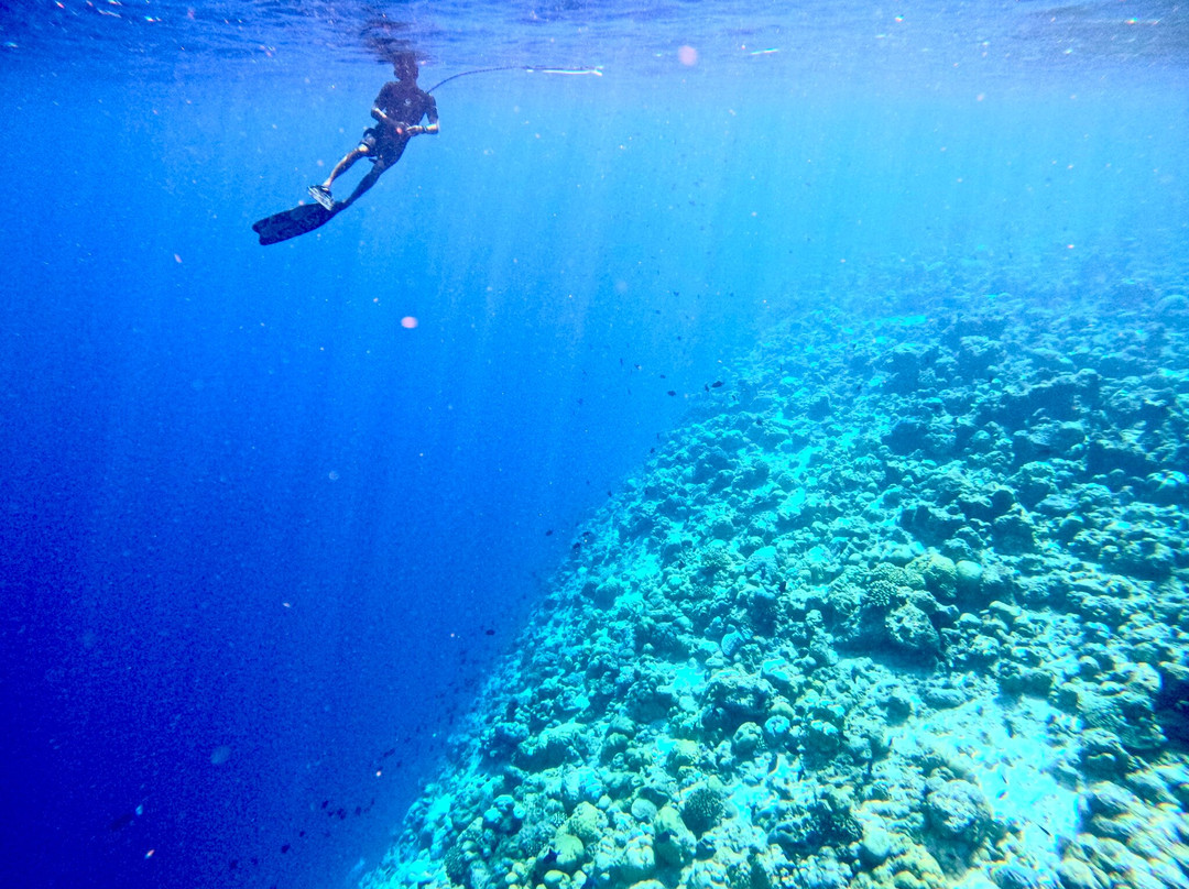 太阳豪华度假酒店主图