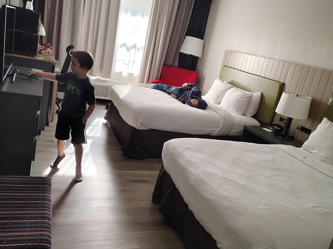 Country Inn & Suites by Radisson, Columbus, GA主图