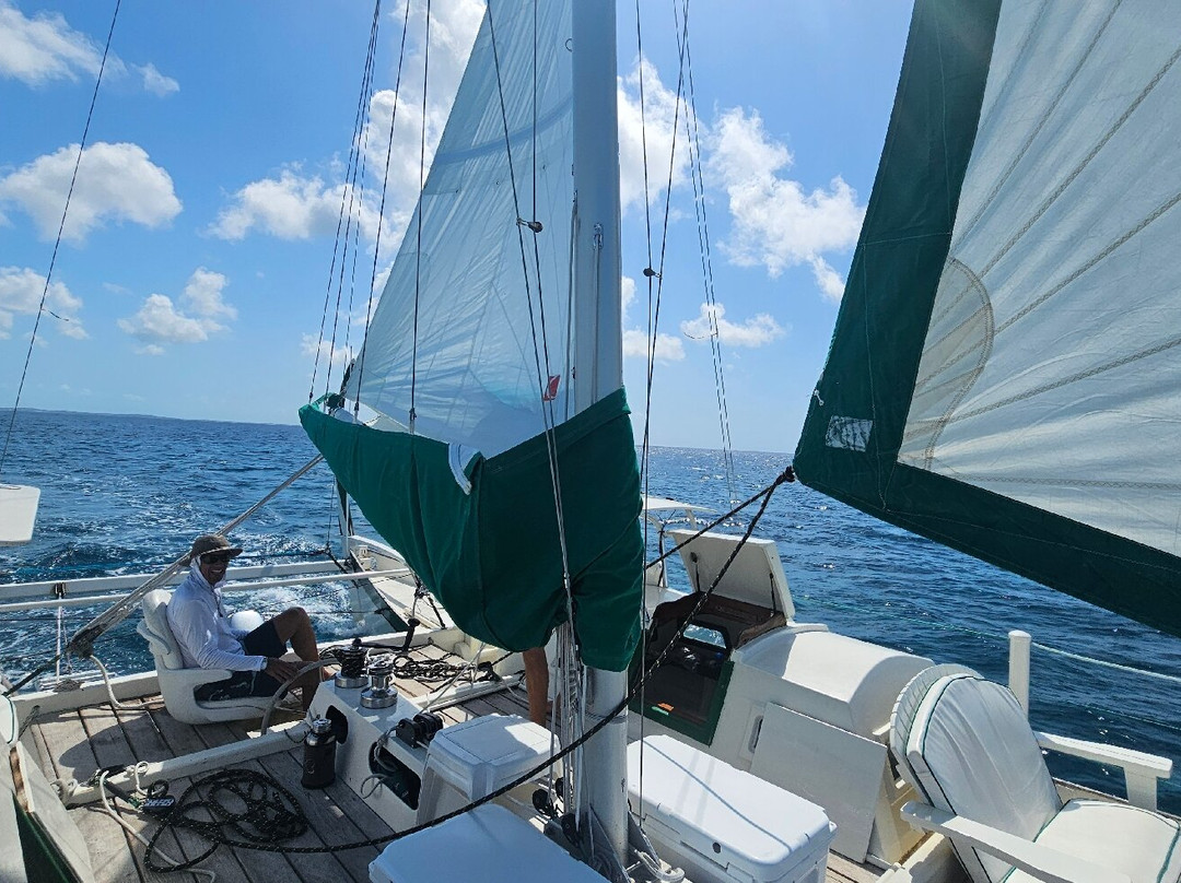 Sail Beluga-普罗维登西亚莱斯必去景点