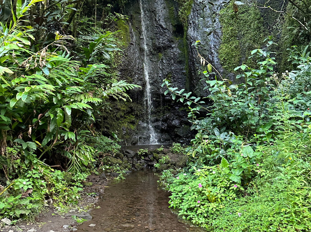 Ciao Tahiti Excursions 4x4 - Day Tours景点图片