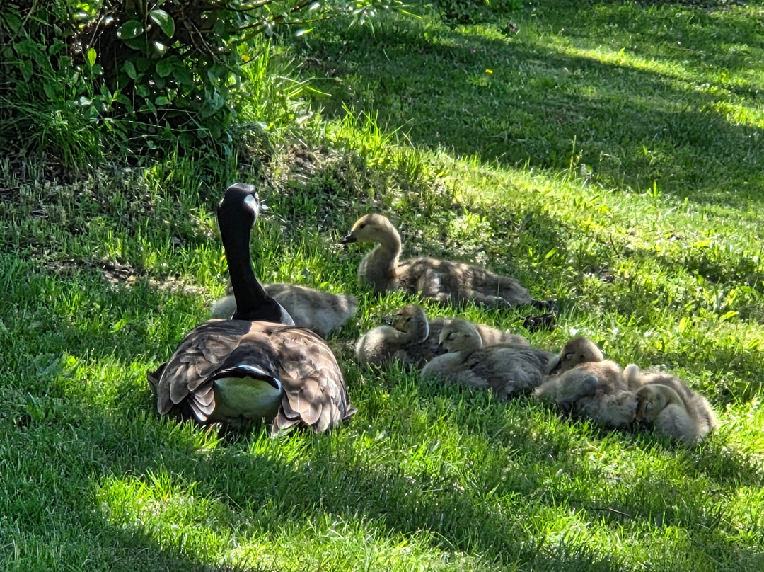 奥本山品质旅馆主图
