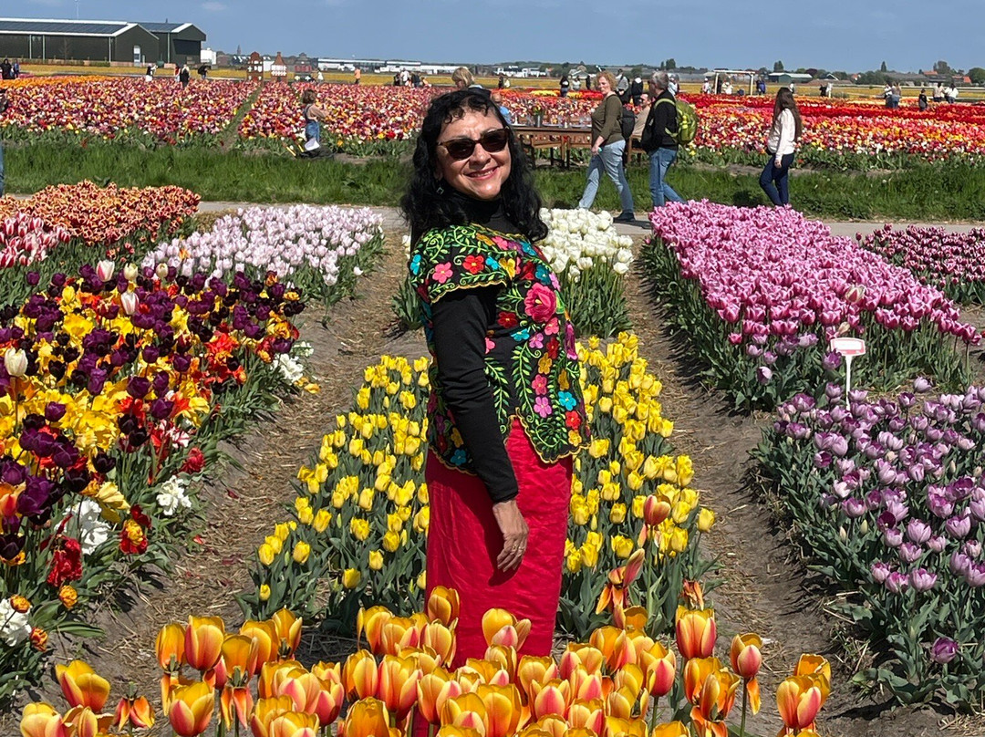 Tulip Experience Amsterdam景点图片