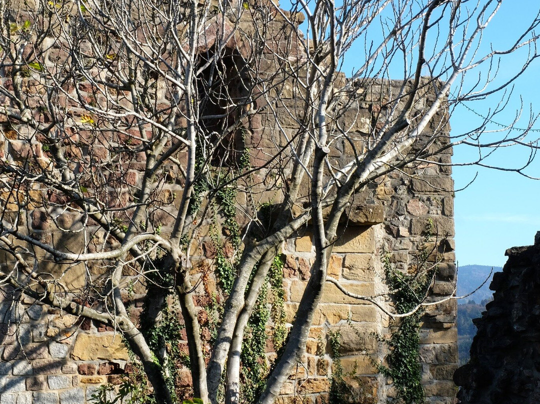 Burg Badenweiler景点图片