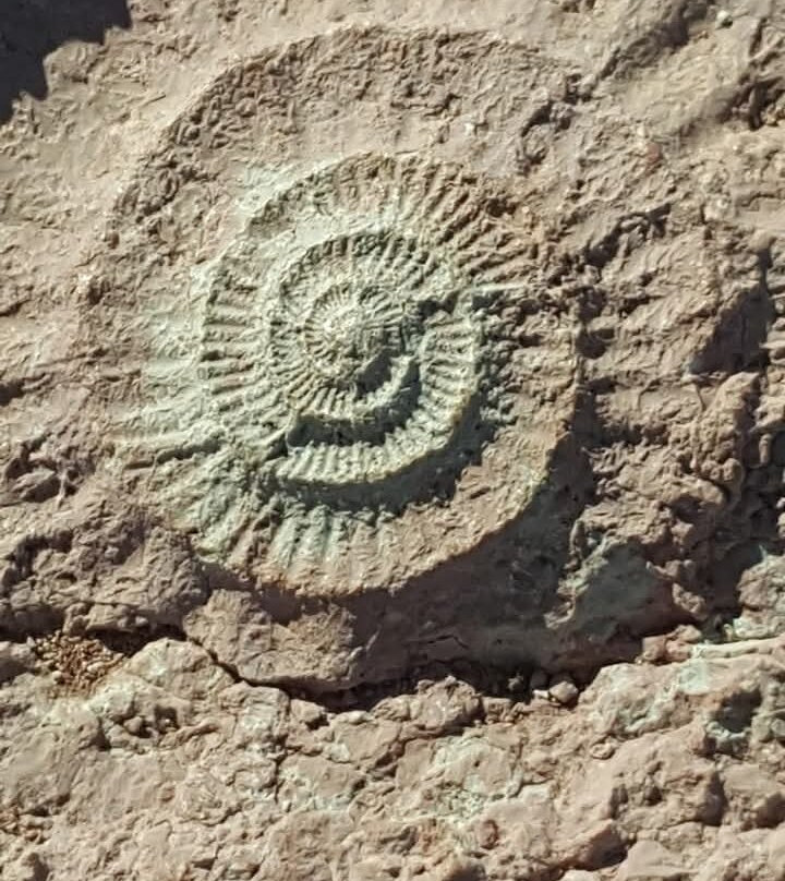 Dolmenes de Antequera景点图片