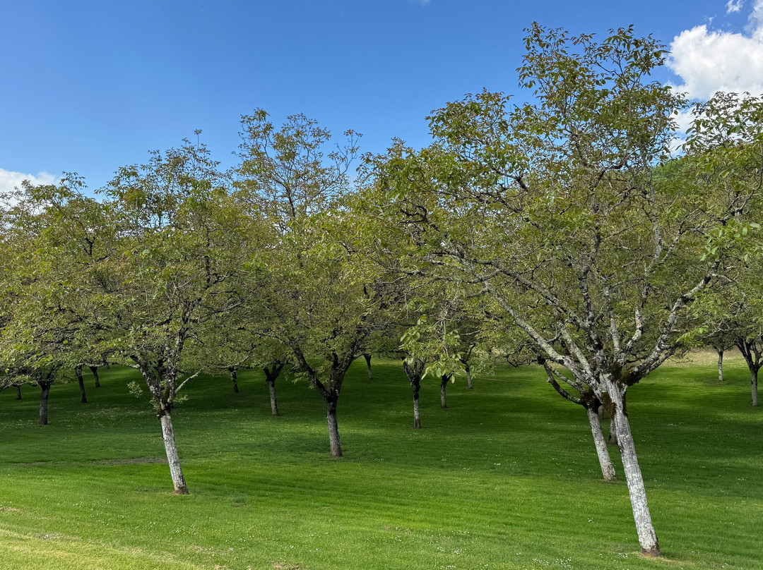 Ecomusée de la Noix-Castelnaud-la-Chapelle必去景点