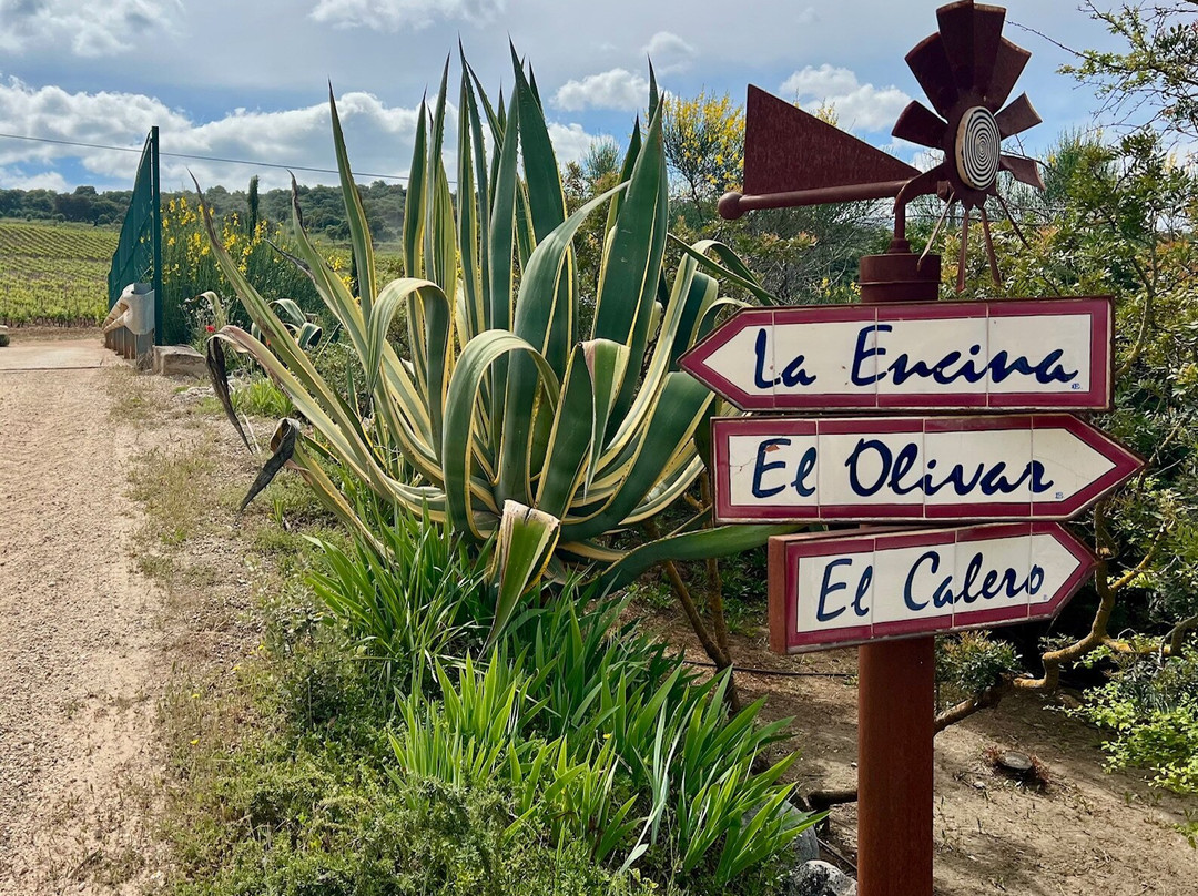 Cortijo Los Aguilares景点图片
