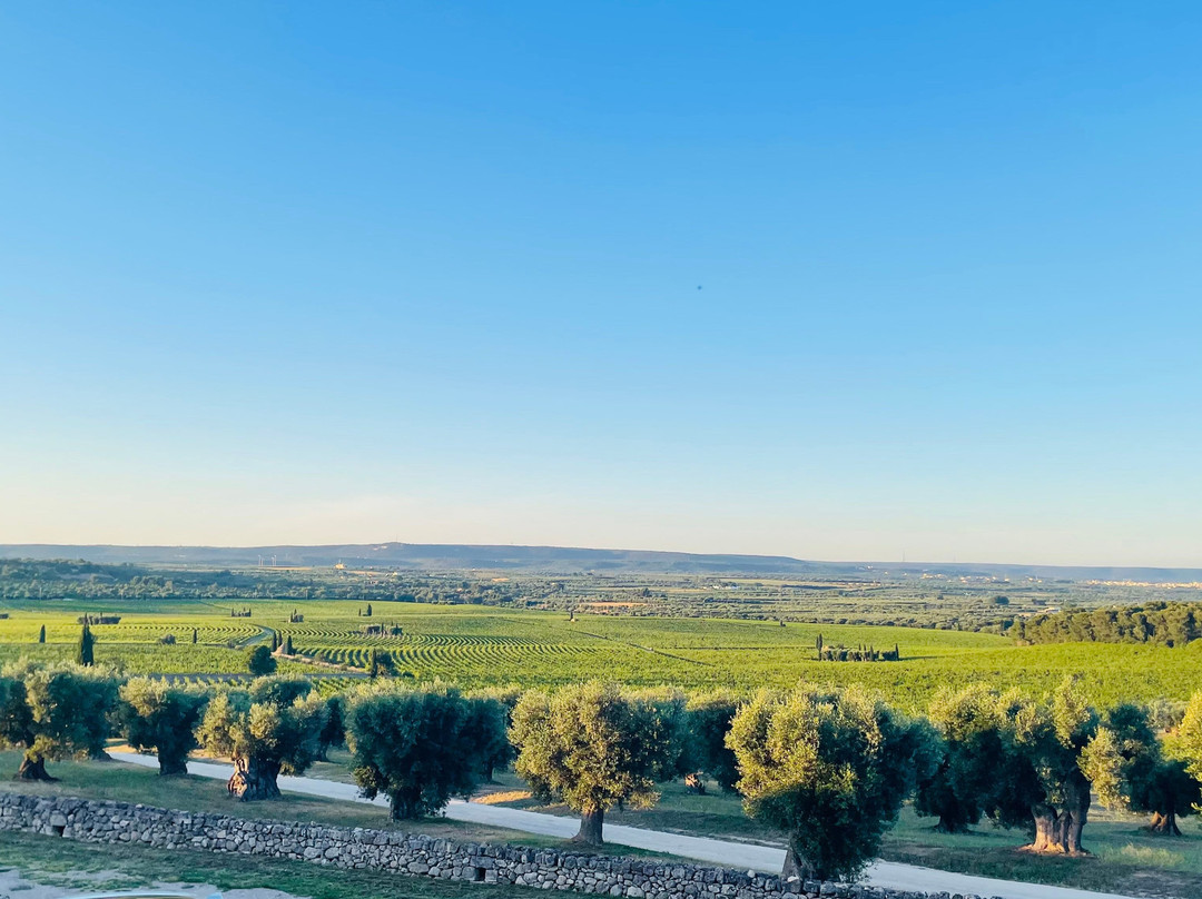 Amà Ristorante in Amastuola 