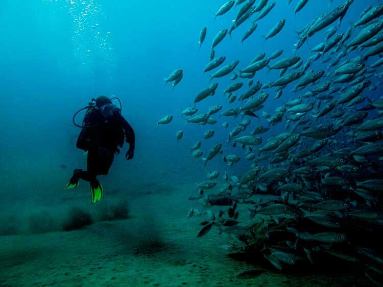 Atlantis Diving Lanzarote景点图片
