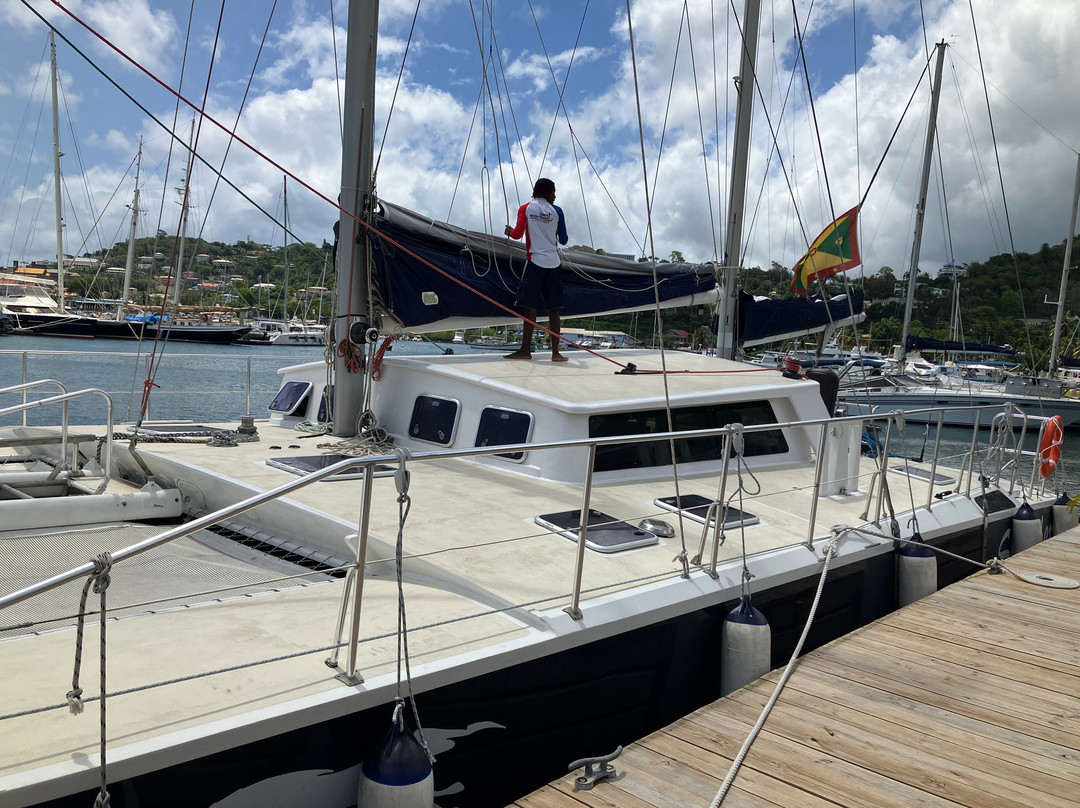 Shadowfax - Landseaair Tours & Charters-Grand Anse必去景点