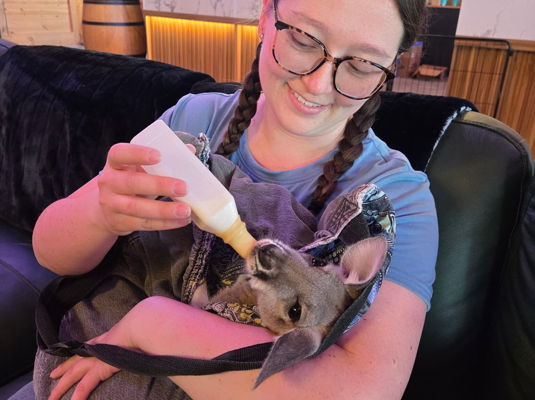 Blue Hills Ranch主图