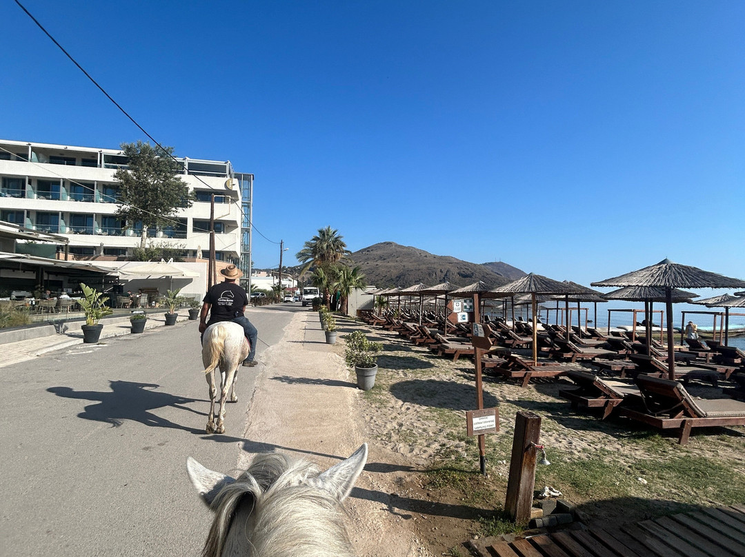 Horseriding Georgoupolis/ Grillo's Stable景点图片