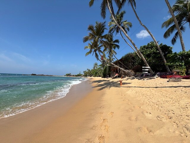 Tamasha Mango House主图