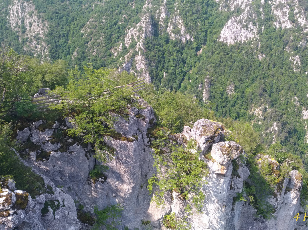 Catak Kanyonu Cam Seyir Terası-Azdavay必去景点