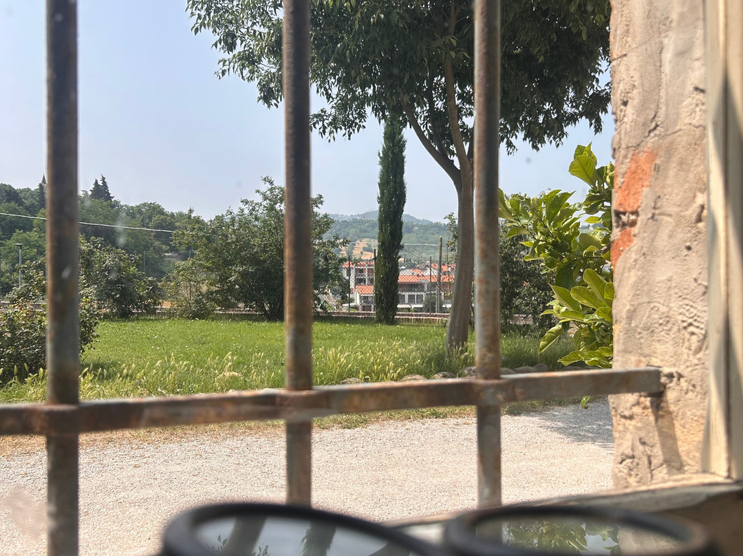 Fattoria Del Piccione景点图片