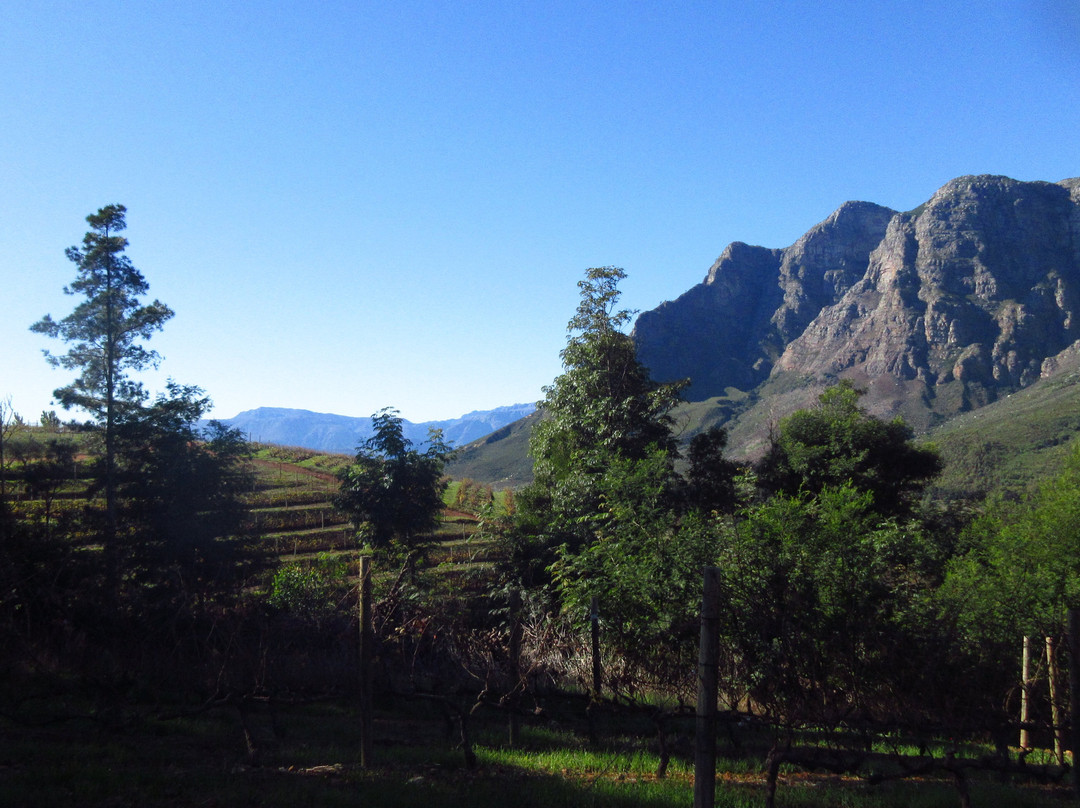 Rainbow's End Wine Estate-斯泰伦博斯必去景点