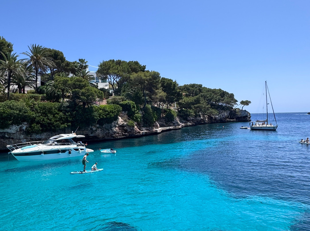 Robinson Cala Serena主图