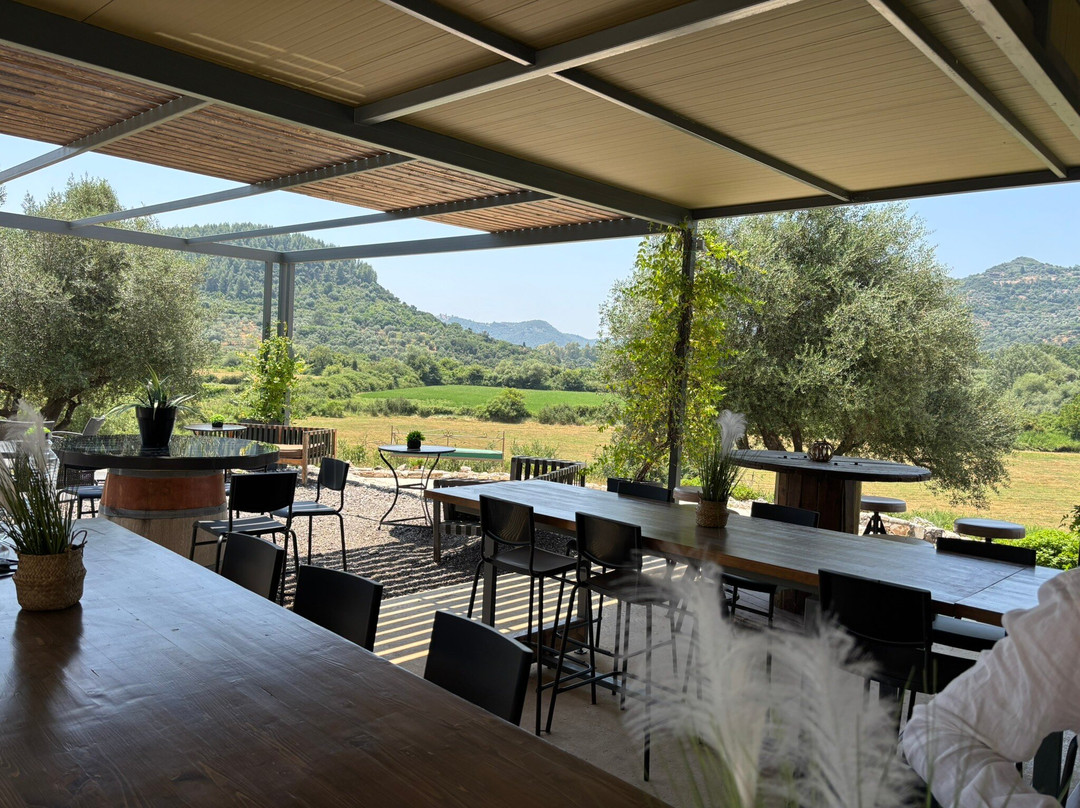 Zervas Winery-Igoumenitsa必去景点