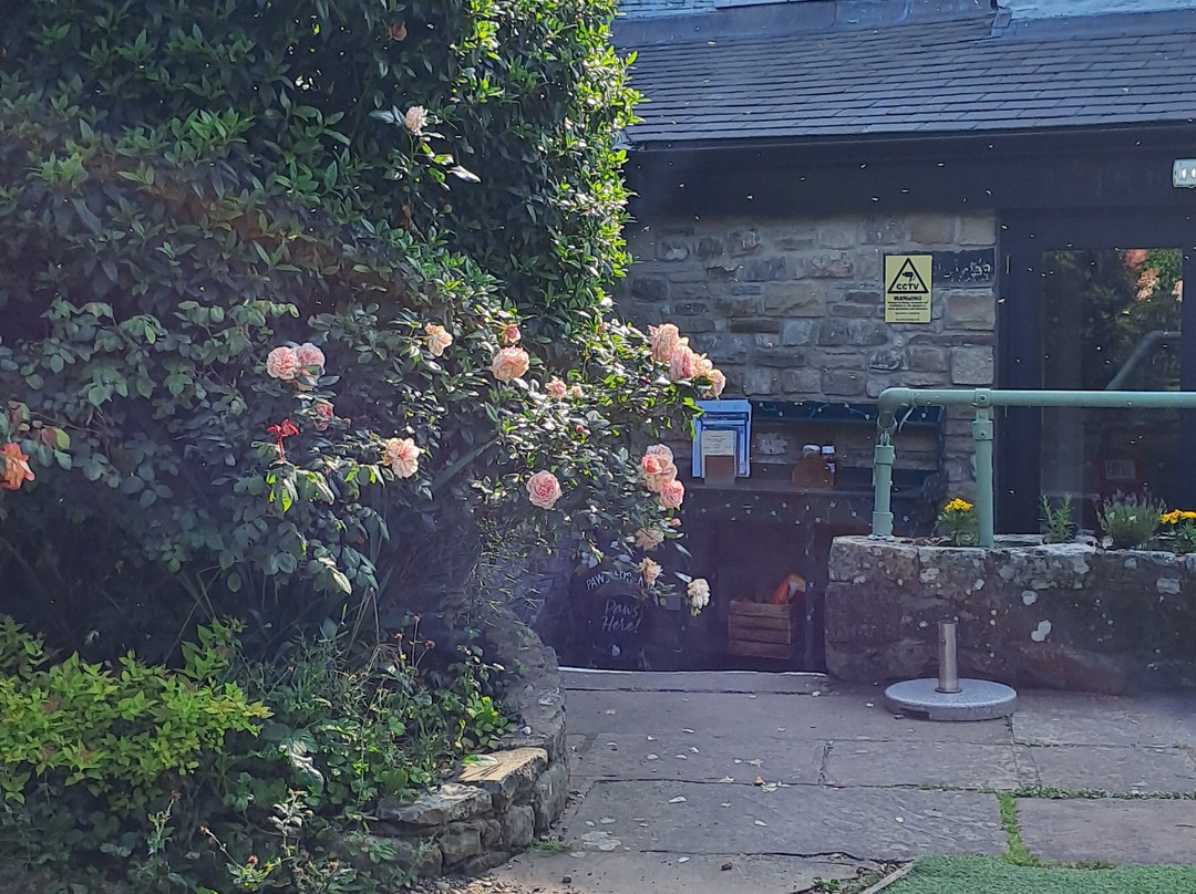 The Stork Hotel主图