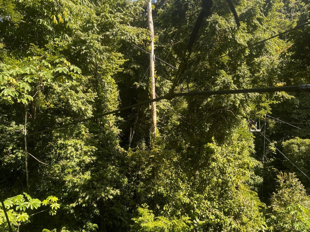 Sukia Park & Zip Line Tour景点图片