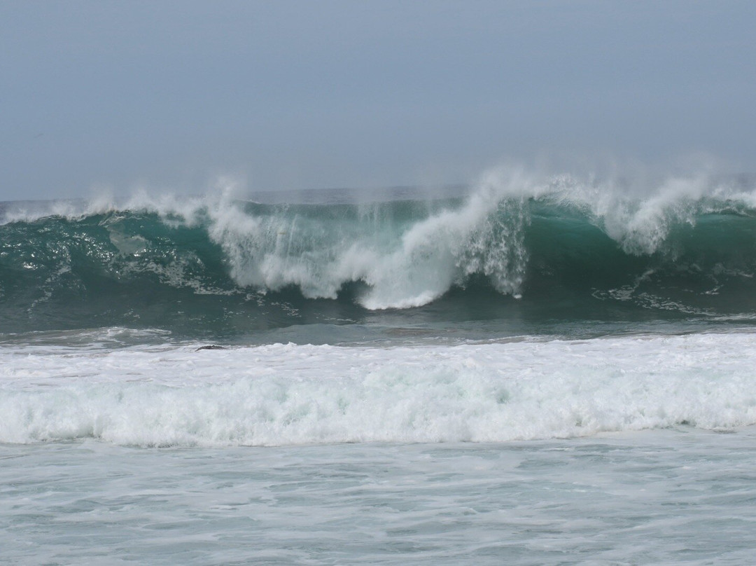 Bahía San Agustín-瓦图尔科必去景点