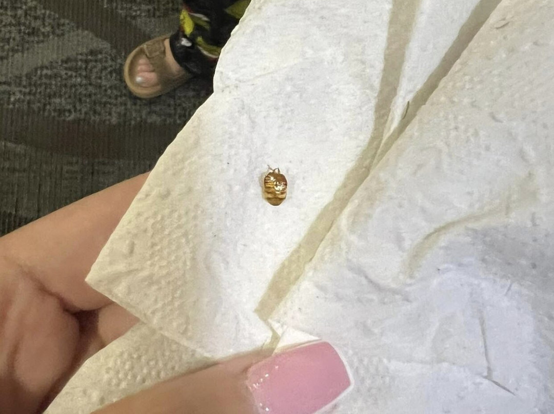 La Quinta Inn & Suites by Wyndham Conway主图