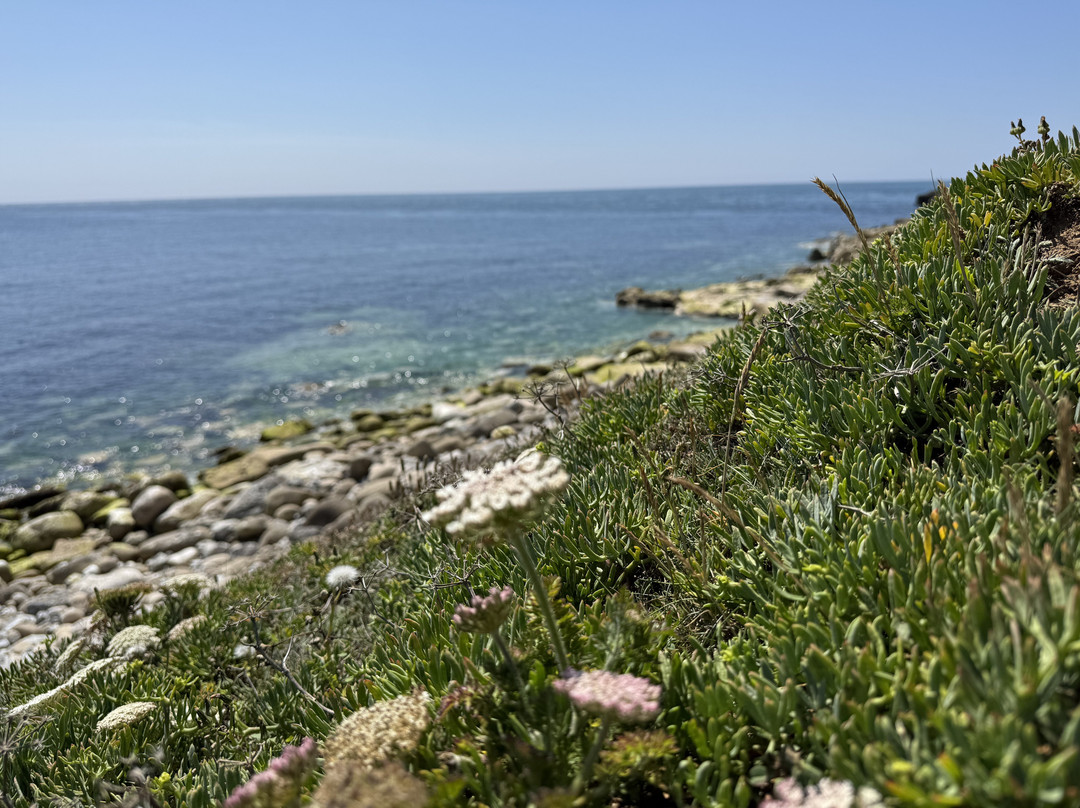Chesil Equestrian Centre-Isle of Portland必去景点