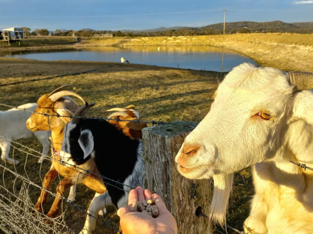 Ridgemill Estate Winery & Cellar Door-史丹霍普必去景点
