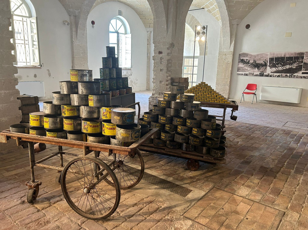 Museo Dei Magazzini Della Tonnara Florio景点图片