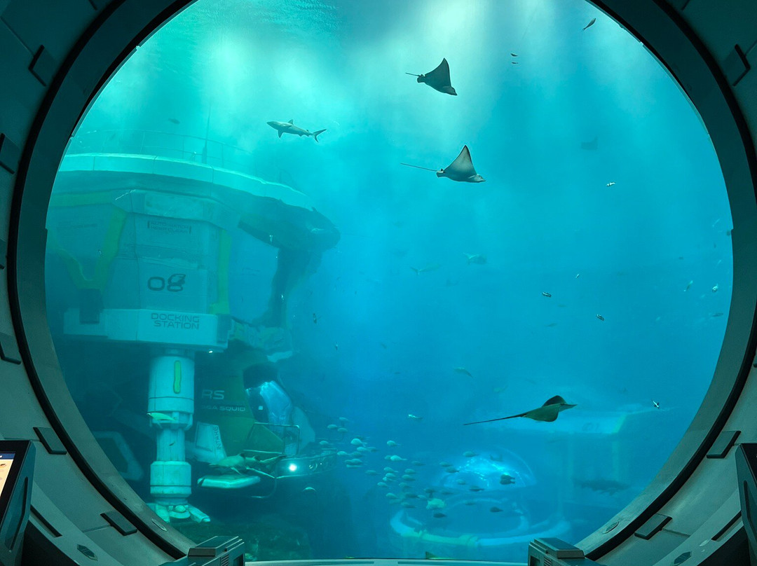 SeaWorld Yas Island Abu Dhabi景点图片