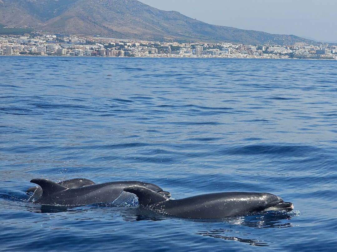 Mustang Benalmadena-班纳玛德纳必去景点