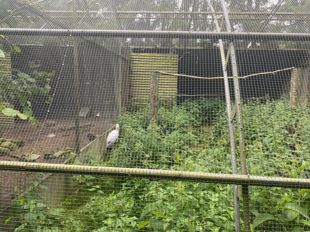 Denmarks Bird Zoo-Tommerup必去景点