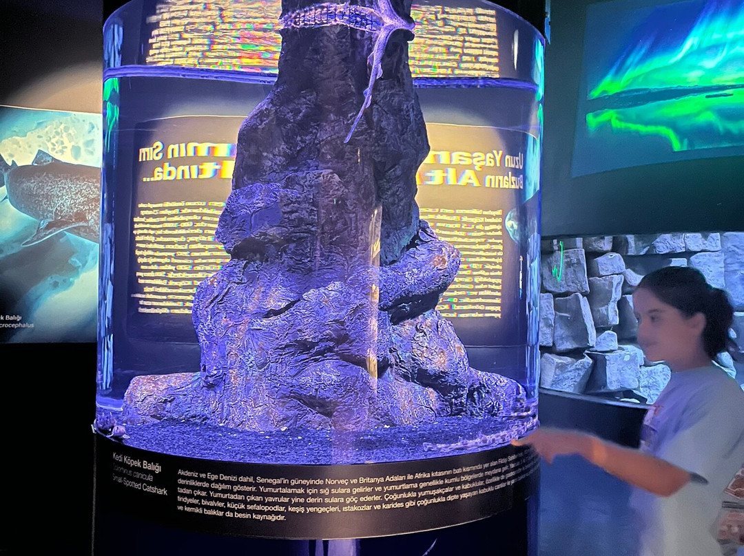 Funtastic Aquarium İzmir-伊兹密尔必去景点