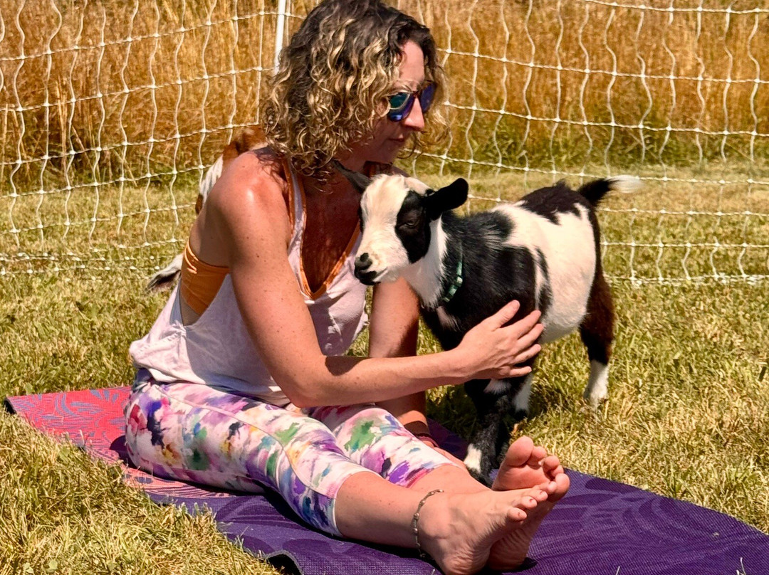 Asheville Wellness Tours-阿什维尔必去景点