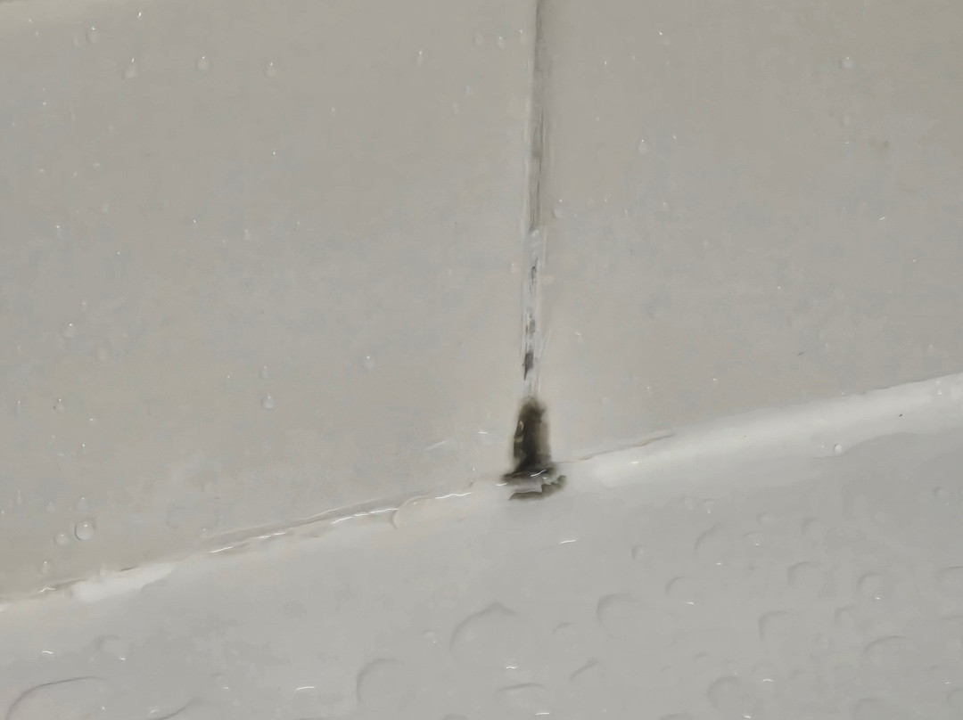 Best Western Braddock Inn主图