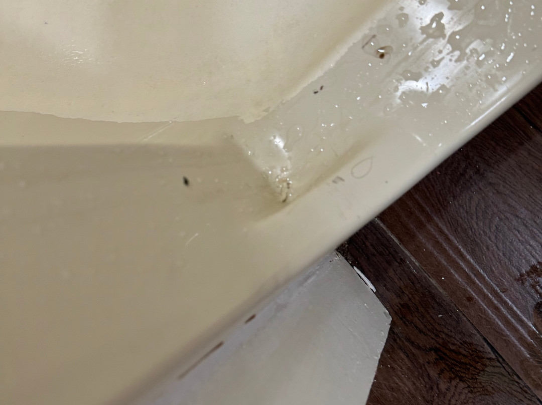 Wingate by Wyndham Macon主图