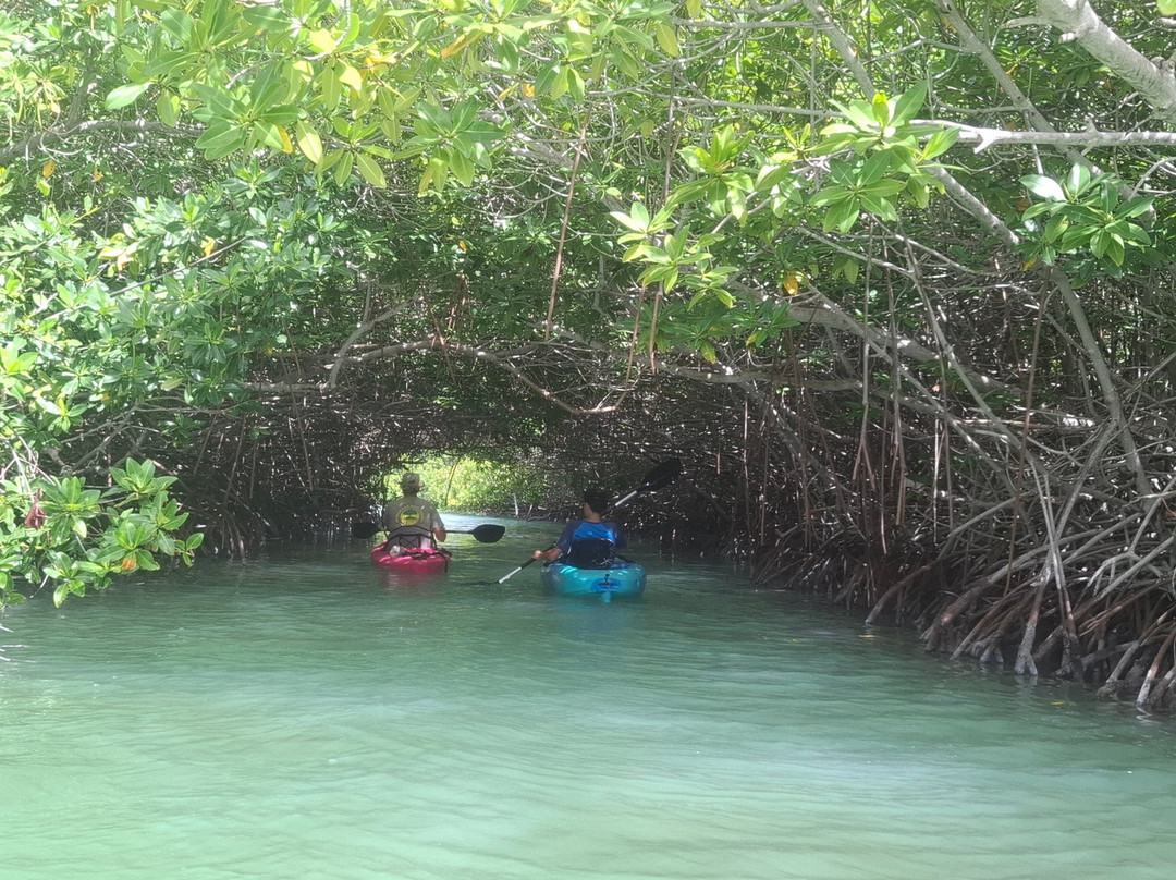 Mangrove Center-Kralendijk必去景点