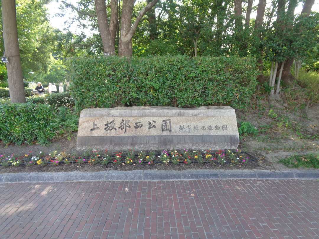 Kamisakabenishi Park-尼崎市必去景点