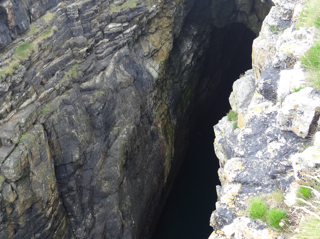Mull Head Nature Reserve-Deerness必去景点