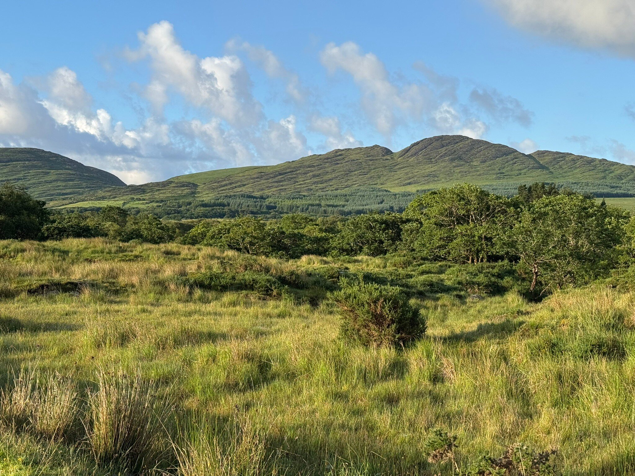 Coomassig View-官方