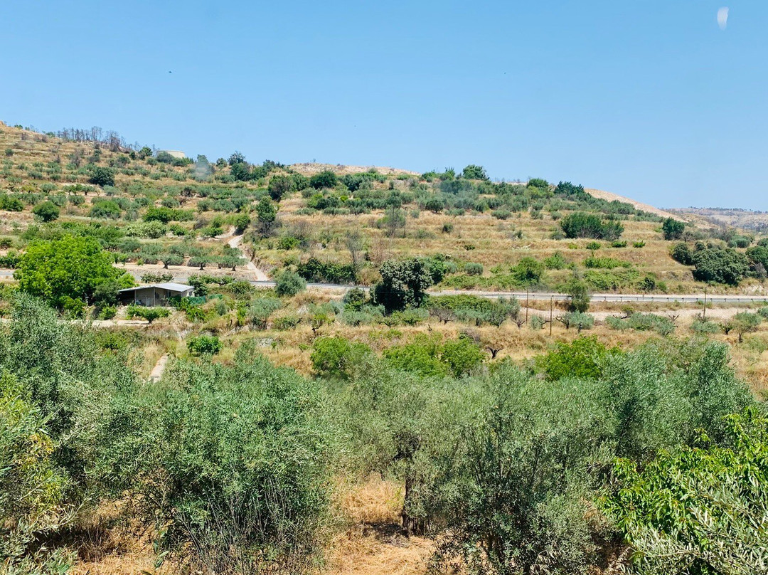 L'Almassera  Casa Rural & Restaurant主图