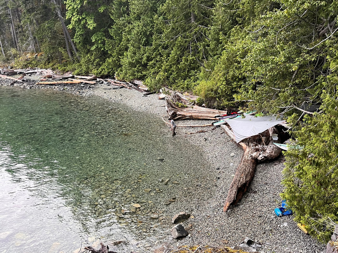 Powell River Sea Kayak-鲍威尔里弗必去景点