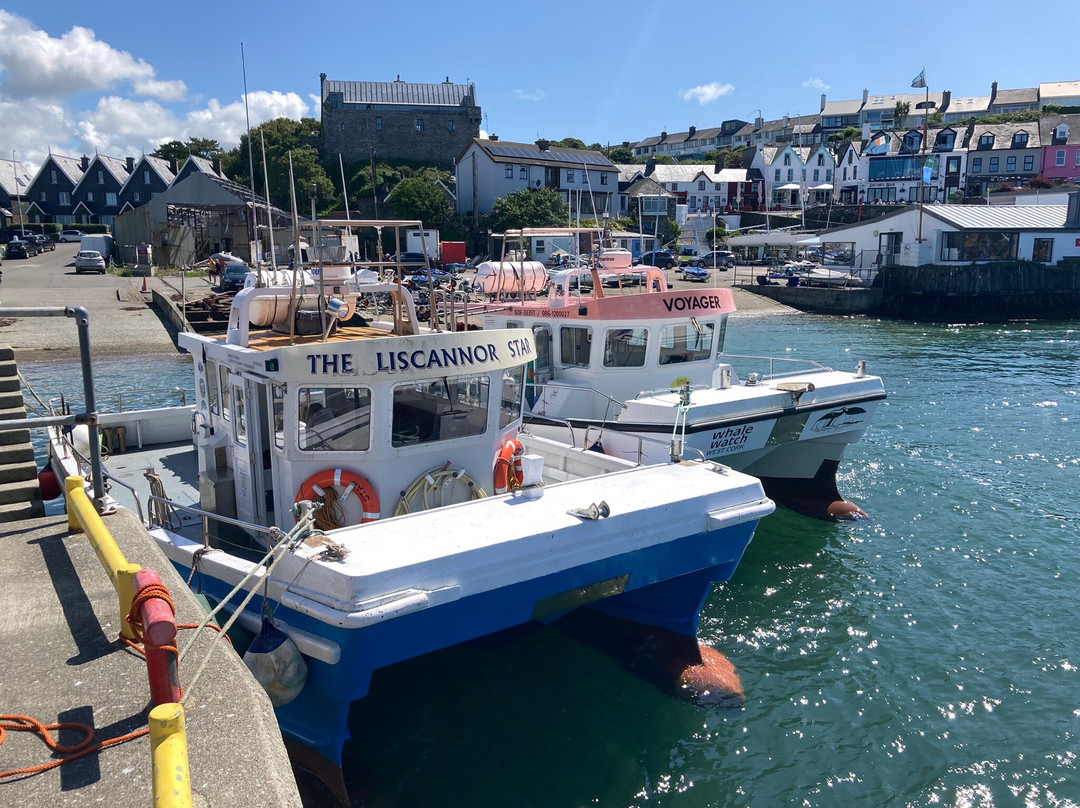 Whale Watch West Cork-Baltimore必去景点