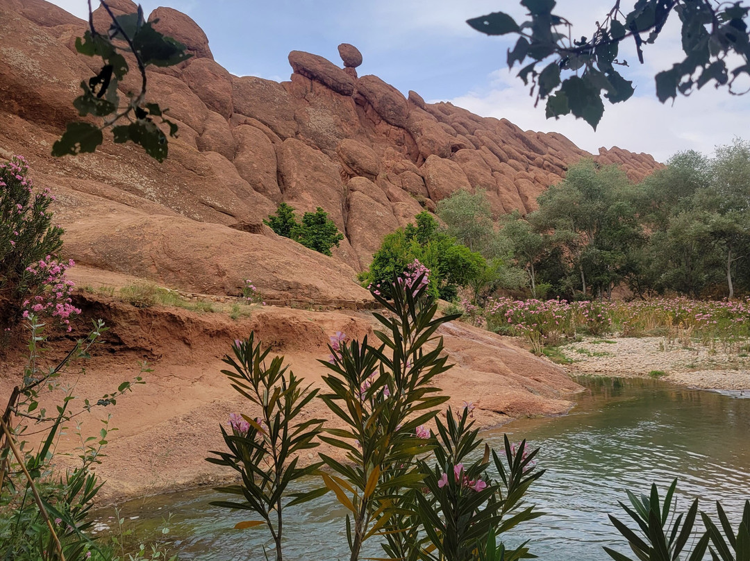 Morocco Easy Tours - Morocco Tours-马拉喀什必去景点