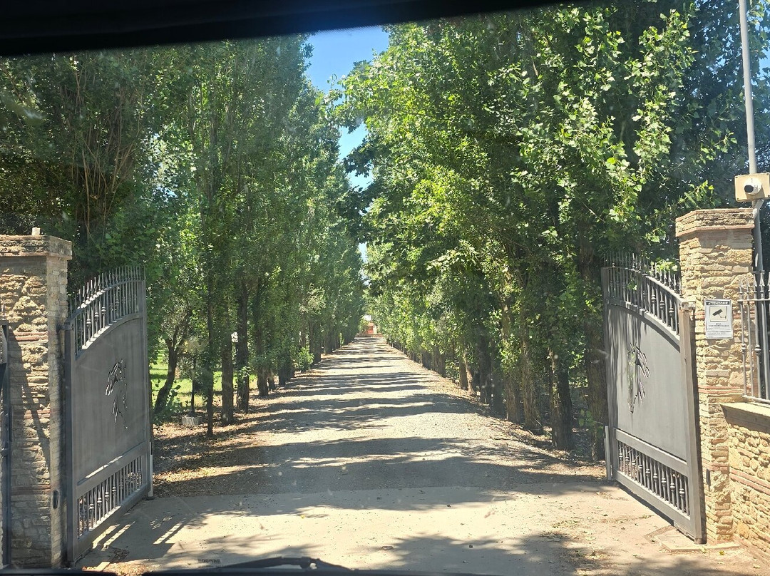 Feudo delle Querce azienda agrituristica主图