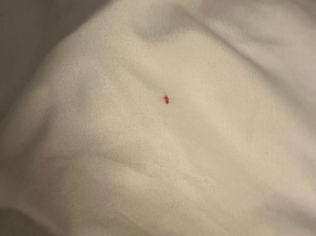 Comfort Inn & Suites主图