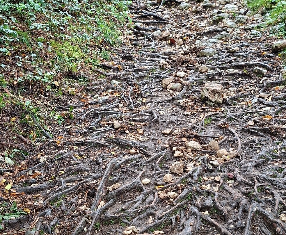 Virje Waterfall-博韦茨必去景点