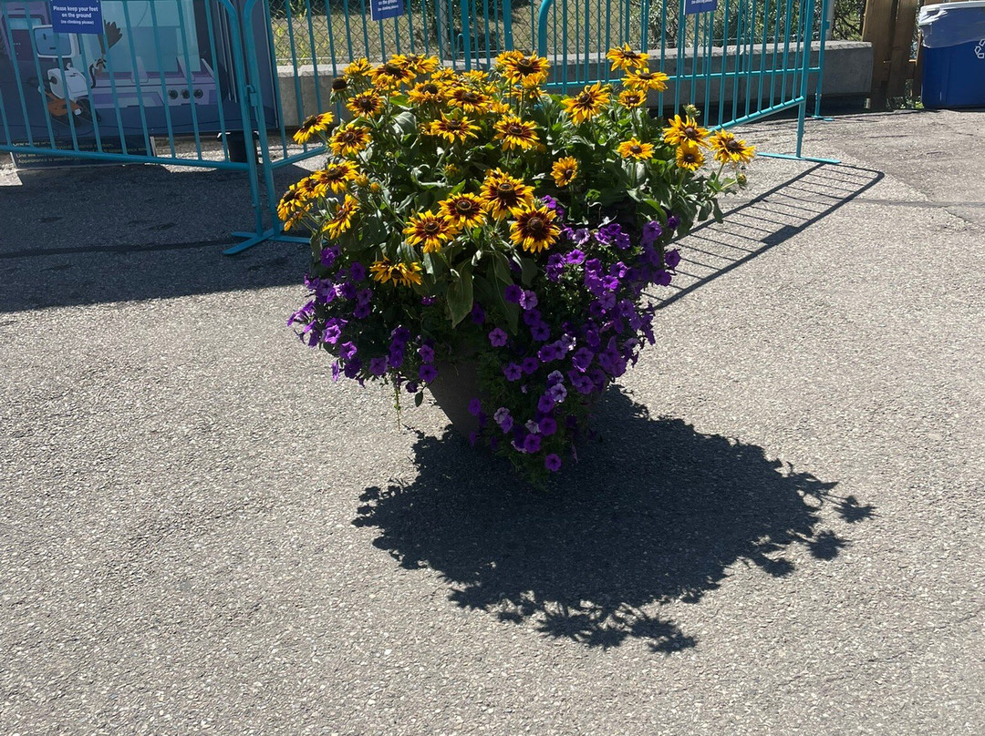 卡勒威游乐园-卡尔加里必去景点